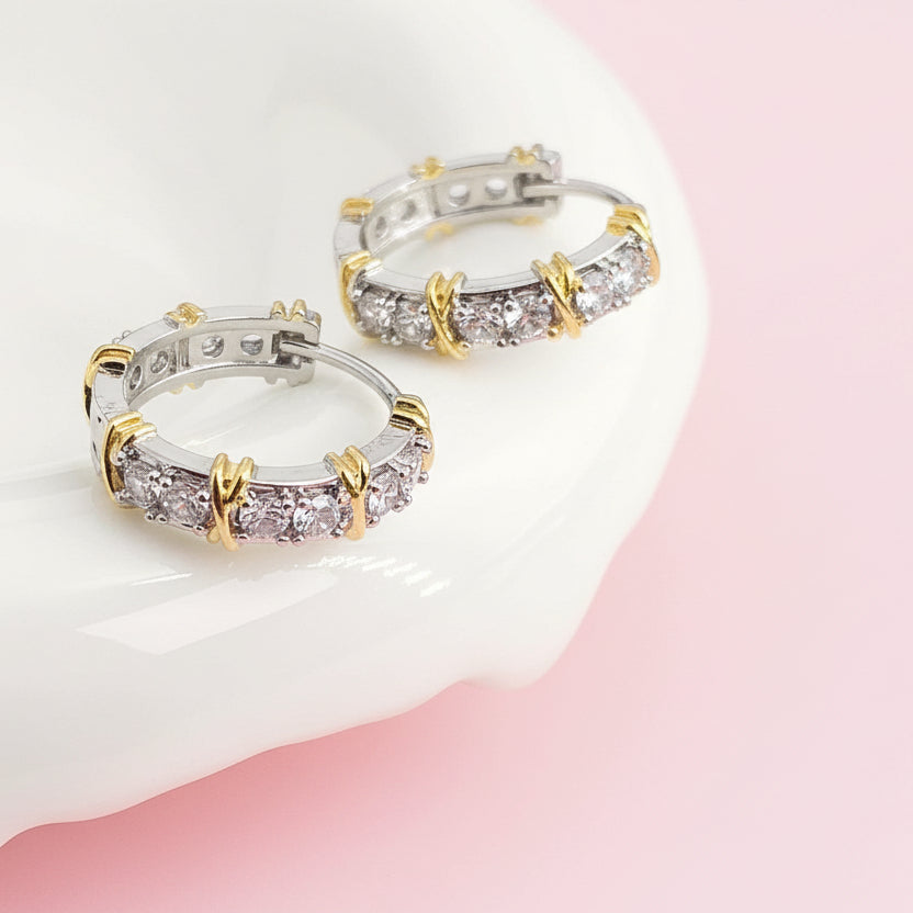 Luxury Double-Layer Butterfly Roman Zircon Earrings